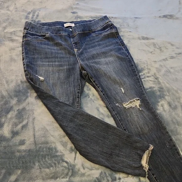 Lane Bryant Jeans - Picture 1 of 8